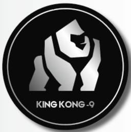 King Kong-9 Electric Bike_logo