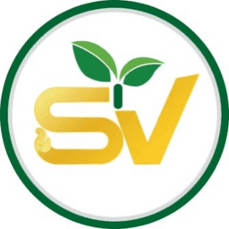 SVLSP Co., LTD_logo